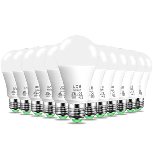 Alexa Light Bulb 1300LM (12 Count)