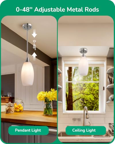 Pendant Light Fixture