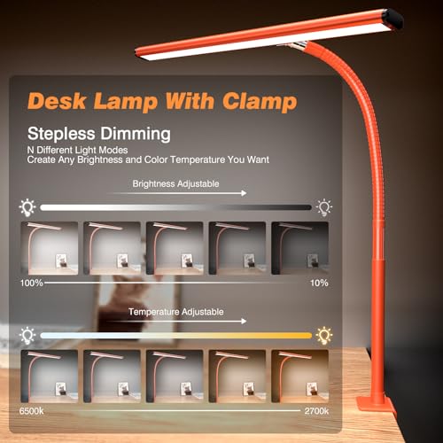 LED Desk Lamp with Clamp