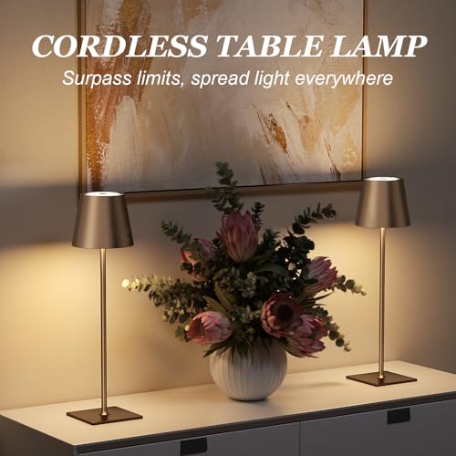 Brown Cordless Rechargeable Table Lamp 5000mAh Battery Operated Lamps (2 Count)