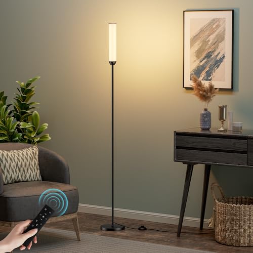 LED Floor Lamp with Remote Control