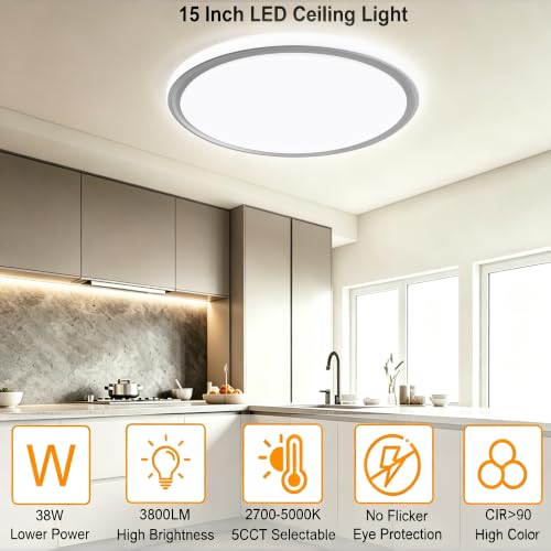 15 Inch LED Flush Mount Ceiling Light (Gray)