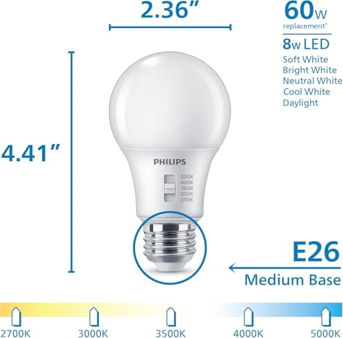 A19 Light Bulbs (12 Count)