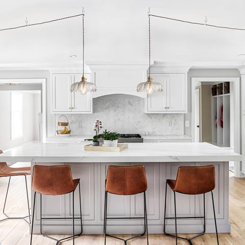 Plug in Pendant Light Hanging Lamp