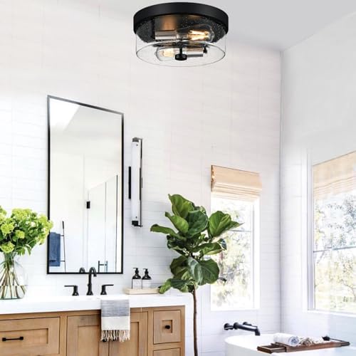 Flush Mount Ceiling Light Fixtures