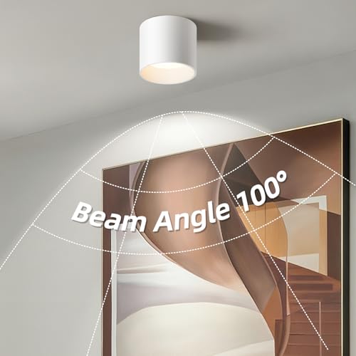 White Flush Mount Ceiling Light Fixtures for Hallway Entryway