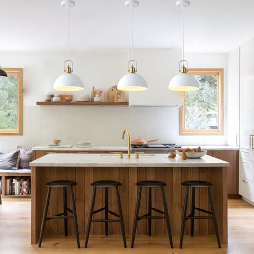 Plug in Pendant Light