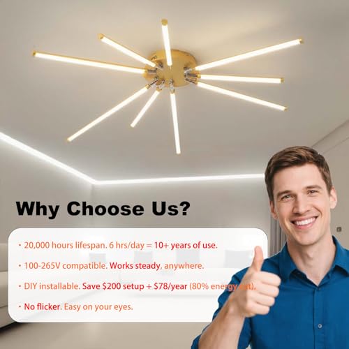 Modern LED Ceiling Light