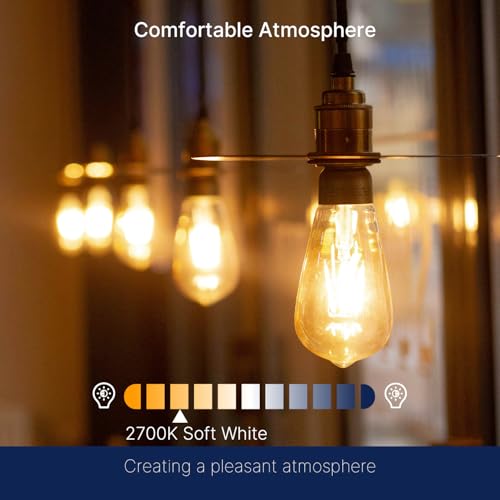 7W LED Edison Bulbs