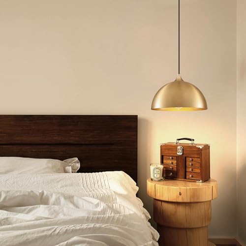 Plug in Hanging Light 2 Packs 11.8inch (2 Count)