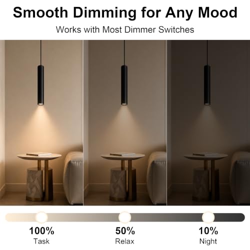 Dimmable Black Pendant Lights 2 Pack