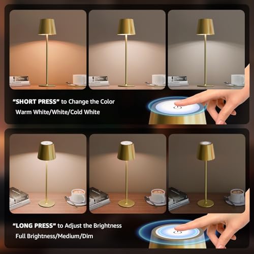 2 Pack Cordless Table Lamp Rechargeable 5000mAH Battery Operated Lights Touch Control LED Portable Desk Lamps 3 Color Dimming for Outdoor Coffee Bedroom Kitchen (2 Count)