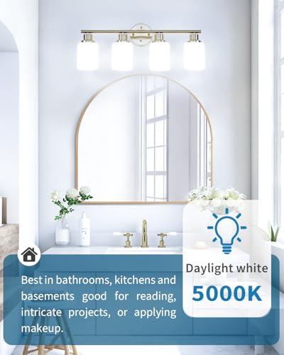 12 Pack LED Light Bulbs (12 Count)