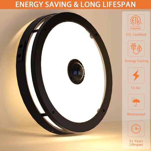 Outdoor Motion Sensor LED Ceiling Light (2 Count)