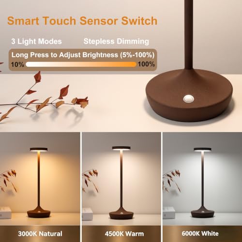 2 Pack Rechargeable Cordless Table Lamps 6000mAh LED Battery Table Light