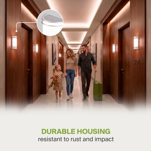 Indoor LED Wall Sconce Lights