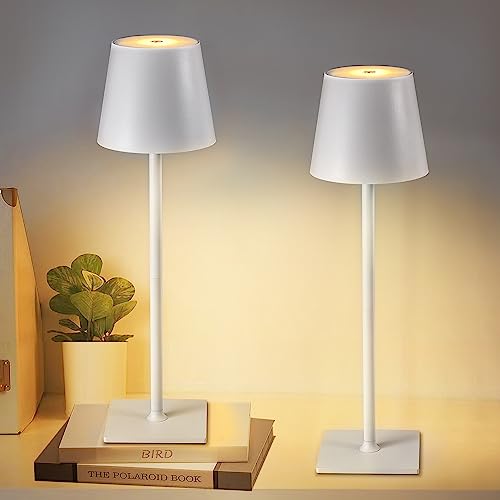 2 Pack Cordless Table Lamps (2 Count)