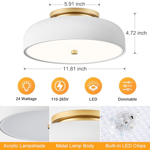 Dimmable LED Ceiling Light Fixture