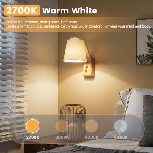 A19 Dimmable LED Light Bulb (4 Count)