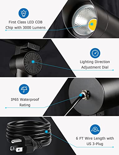 30W Spot Lights Outdoor LED Spotlight 120V 3000LM Ultra Bright Flag Pole Light with Metal Stake (2 Count)