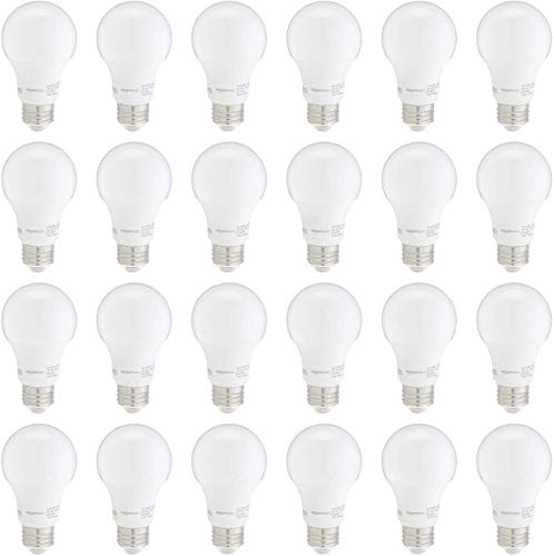 A19 LED Light Bulbs (24 Count)