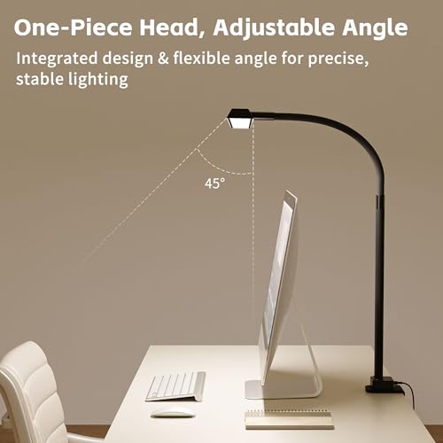 Clamp on Desk Lamp
