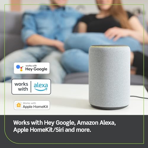 Decora Smart Outlet