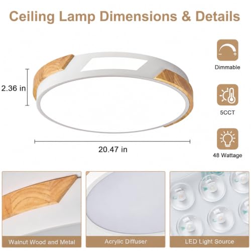 Modern LED Ceiling Light