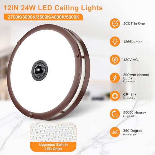 12" LED Motion Sensor Outdoor Ceiling Light Porch Lamp