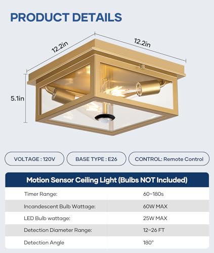 Motion Sensor Outdoor Ceiling Light with Remote