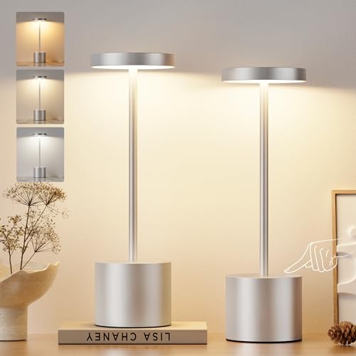 Silver Gray Cordless Lamp Set (2 Count)