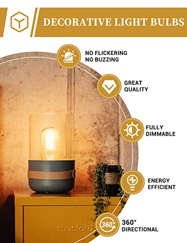 Edison Bulbs Light Bulbs (4 Count)