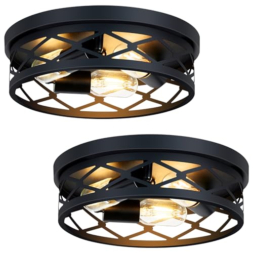 2 Pack Flush Mount Ceiling Light Fixture (2 Count)