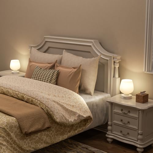 Touch Table Lamp for Nightstand Set of 2 (2 Count)