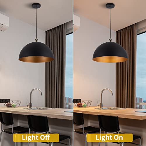 Vintage 2 pendant light
