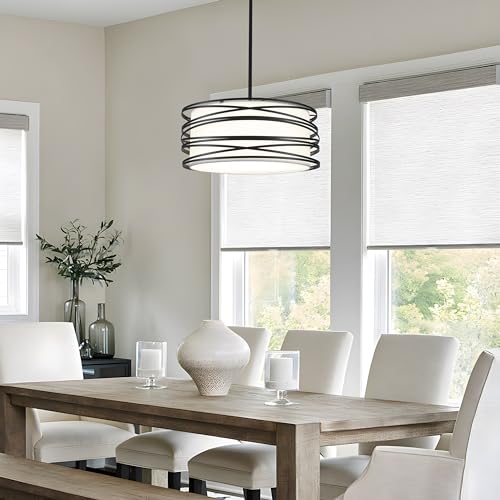 16" Black Drum Chandelier 3