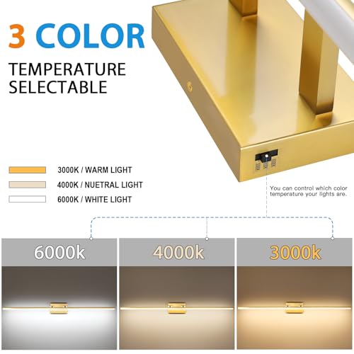 LED Bathroom Vanity Light