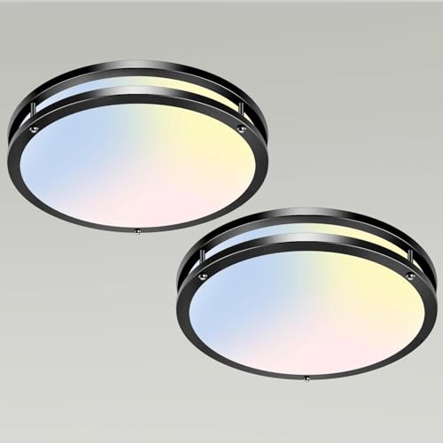 13 Inch Flush Mount Ceiling Lights (2 Count)