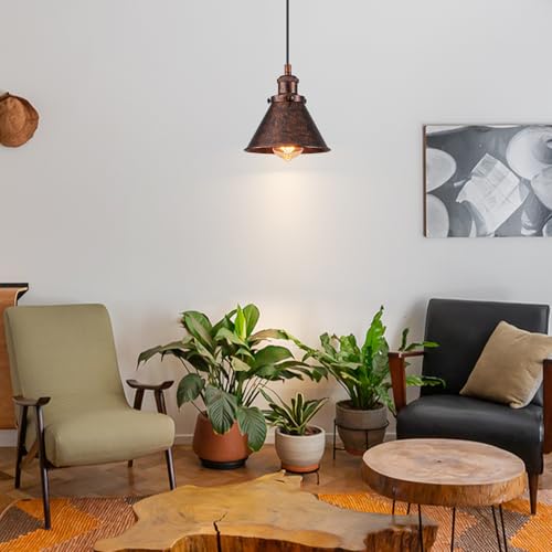 Plug in Pendant Light