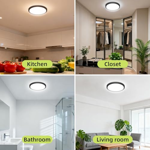 2PACK Flush Mount LED Ceiling Light Fixture (2 Count)