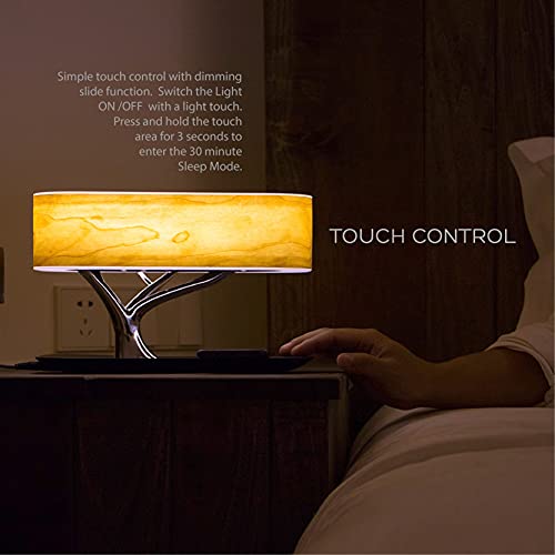 Bonsai Modern LED Bedside Smart Table Lamp with Built