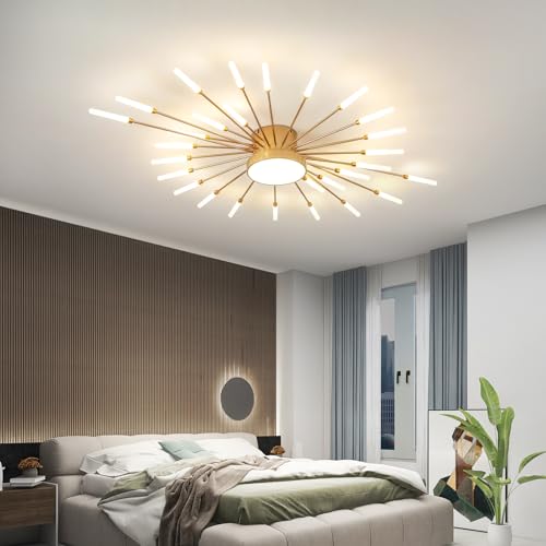Modern Ceiling Light