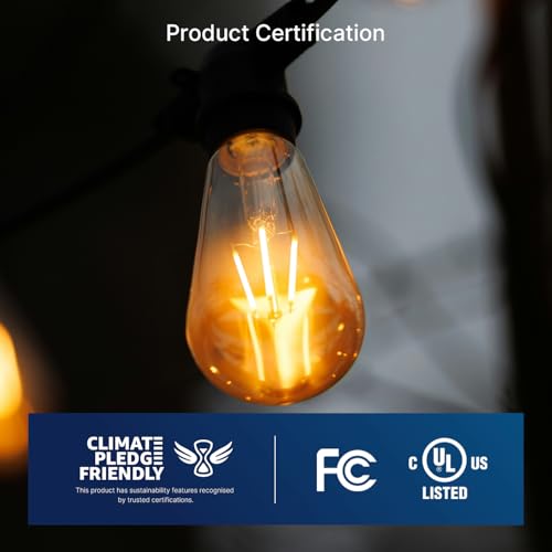 ST19 LED Edison Bulbs 40W Equivalent (4 Count)