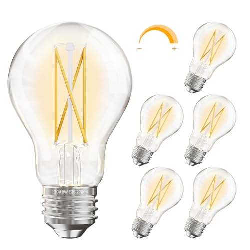 6 Pack A19 Vintage LED Edison Bulbs (6 Count)