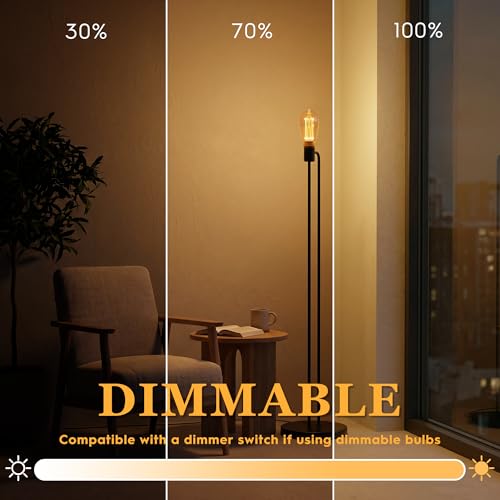 Vintage Edison Light Bulb Decorative Dimmable LED Bulb Amber ST64