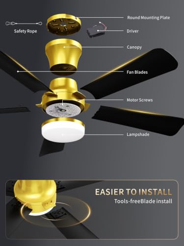 42 Inch Black Gold Low Profile Ceiling Fan with Light and Remote (Gold Black / 42 Inch)