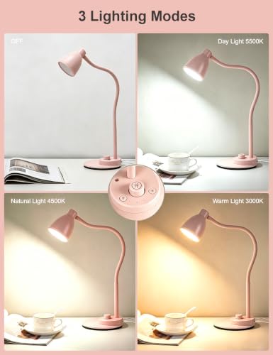 Cute Desk Lamp with USB Charging Port