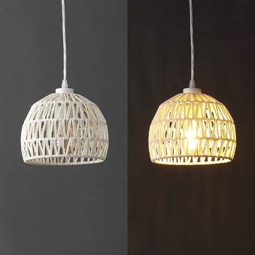 Campana 1 Light Pendant Dome Ceiling Lamp