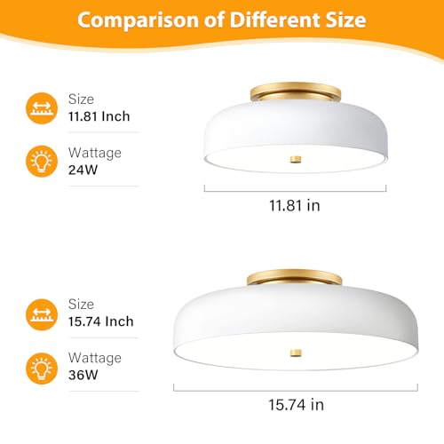 Dimmable LED Ceiling Light Fixture