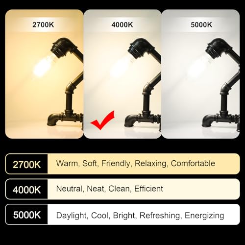LED Edison Bulbs 6W (4 Count)